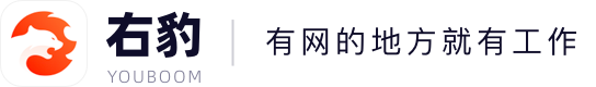 右豹 YOUBOOM